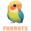 Parrot Parrot Parrot