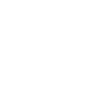 Mäusebussard Greifvogel Raubvogel