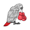 Papagei Boxer Boxhandschuhe Boxen