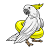 Parrot Swimming Lifebuoy