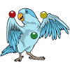 Parrot juggler juggling