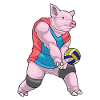 Pig Volleyball Player Volleyball