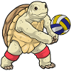 Turtle Volleyball Player Volleyball