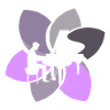 Pianist Piano Keyboard