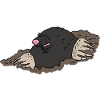 Mole
