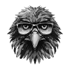 Portrait Tête D’aigle Cool