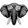 Portrait Tête D’éléphant Cool