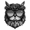 Owl Head Portrait Cool