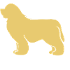 Therapy dog