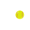 Funny Softball Saying Siblings