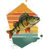 Perche Pêche Poissons Prédateurs