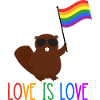 Love is love beaver