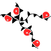 Vrilles de fleurs