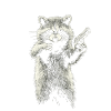 Raccoon with pistol
