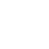 1998 Limited Edition