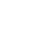 1996 Limited Edition