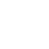 2000 Limited Edition