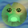 Sunning Frog