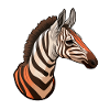 Tête D’okapi Motif Animalier Rare