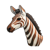 Okapi Head Rare Animal Motif