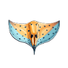 Ray Ocean Motif Sea Lover