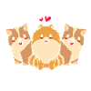 Pet Sitter Animaux Baby-sitter