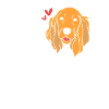 Cocker Spaniel Dad