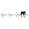 Battement de cœur éléphant