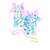Cat Cats Child Children
