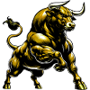 Bull
