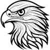 Stylish Eagle Head Illustration