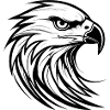 Stylish Eagle Portrait Silhouette