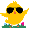 Chick with sunglasses