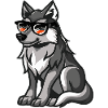 Wolf Cool Animal