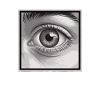 Fascinating eye in monochrome
