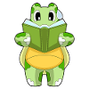 Turtle Nerd Book