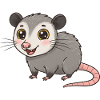 Animal Cartoon Possum