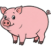 Animal Cartoon Pig