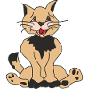 Funny cat