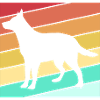 Bouvier australien chien