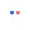 Australian Cattle Dog