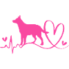 Australian Cattle Dog