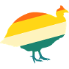 Chickens Rooster Guinea Fowl