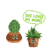 Amoureux des plantes Jardinage Cactus