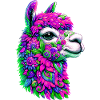 Alpaca