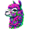 Alpaca