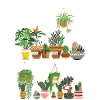 Plant Lover Gardening Love