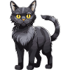 Cat Animal