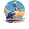 Pélicans Pélican