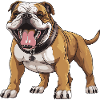 Bulldog Dog